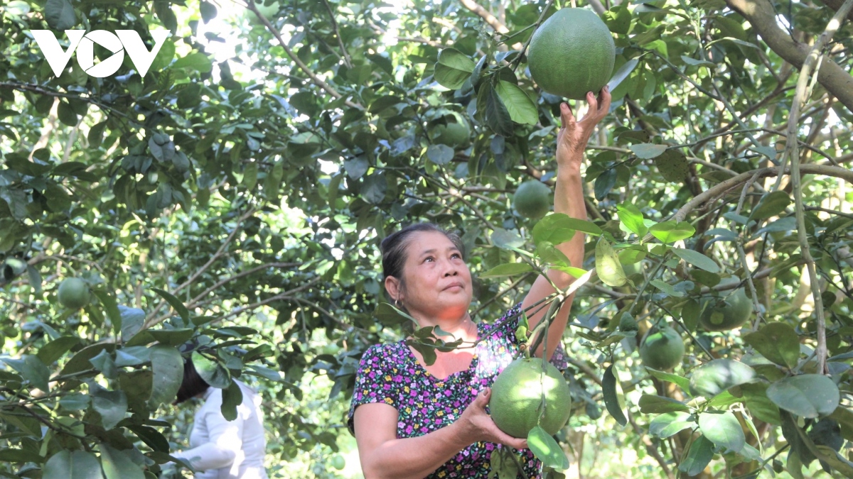 Khánh Hòa đưa vốn chương trình giảm nghèo đến với đồng bào miền núi